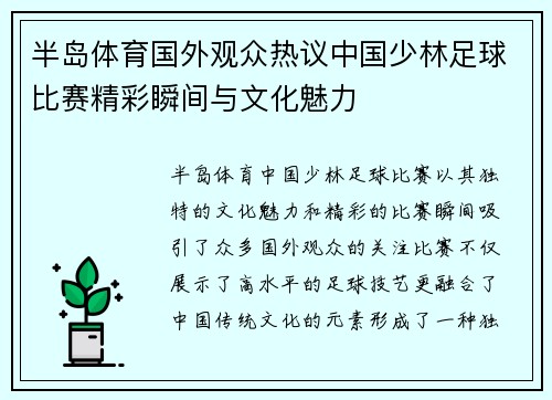 半岛体育国外观众热议中国少林足球比赛精彩瞬间与文化魅力